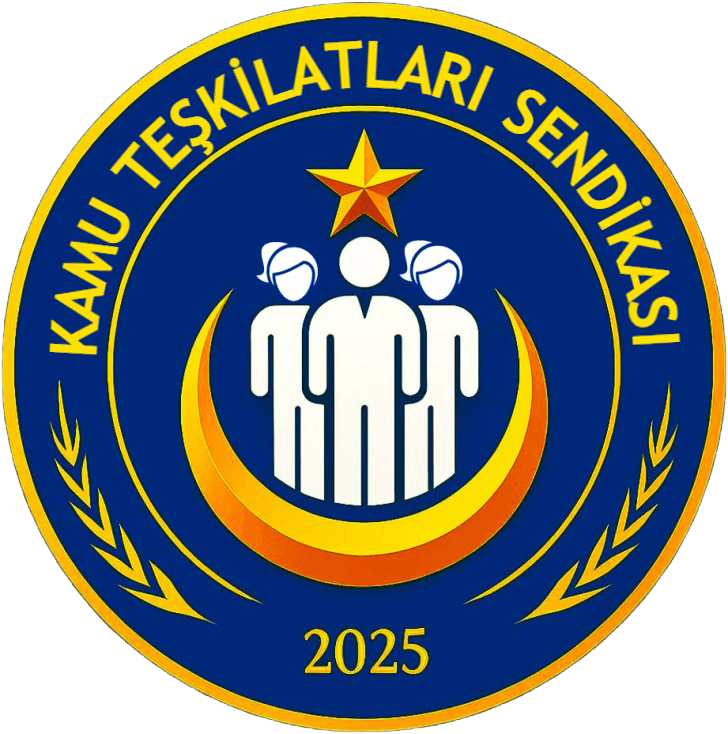 kamu teşkilatları.png